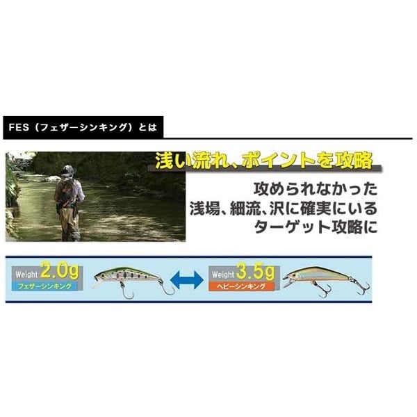 Ｄ－コンパクト　ＦＥＳ　４５